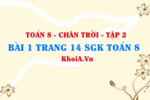 Bài 1 trang 14 Toán 8 Chân trời sáng tạo Tập 2